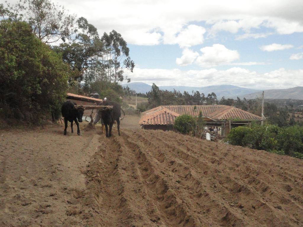 Gasthaus Loma Wasi Alojamiento Rural Indigena En Cotacachi Exterior foto