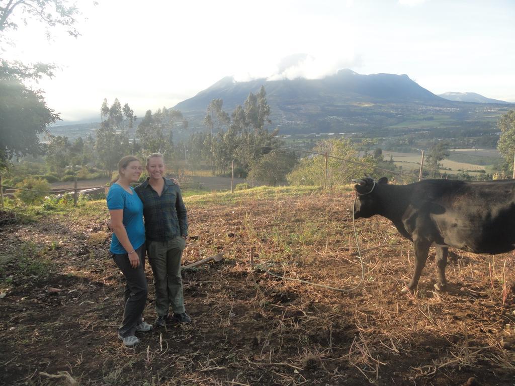 Gasthaus Loma Wasi Alojamiento Rural Indigena En Cotacachi Exterior foto