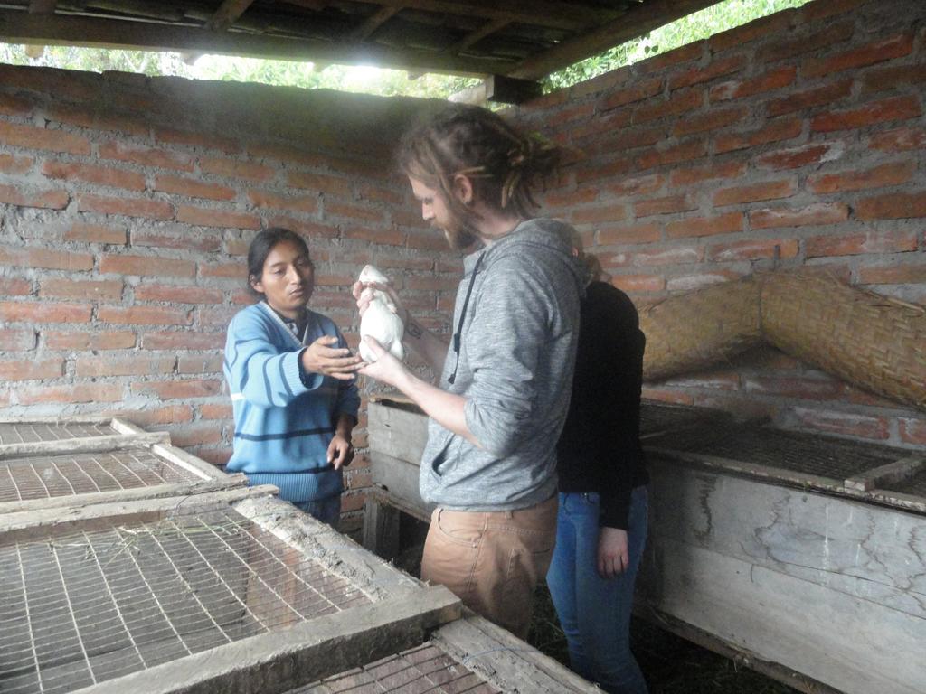 Gasthaus Loma Wasi Alojamiento Rural Indigena En Cotacachi Exterior foto