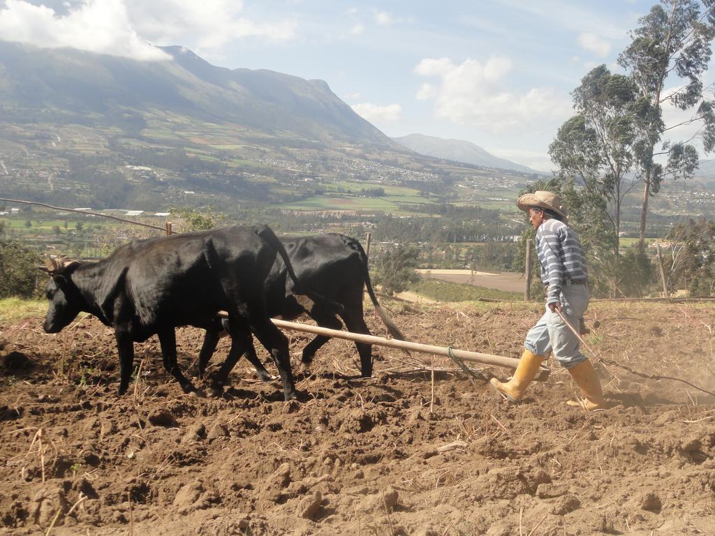 Gasthaus Loma Wasi Alojamiento Rural Indigena En Cotacachi Exterior foto