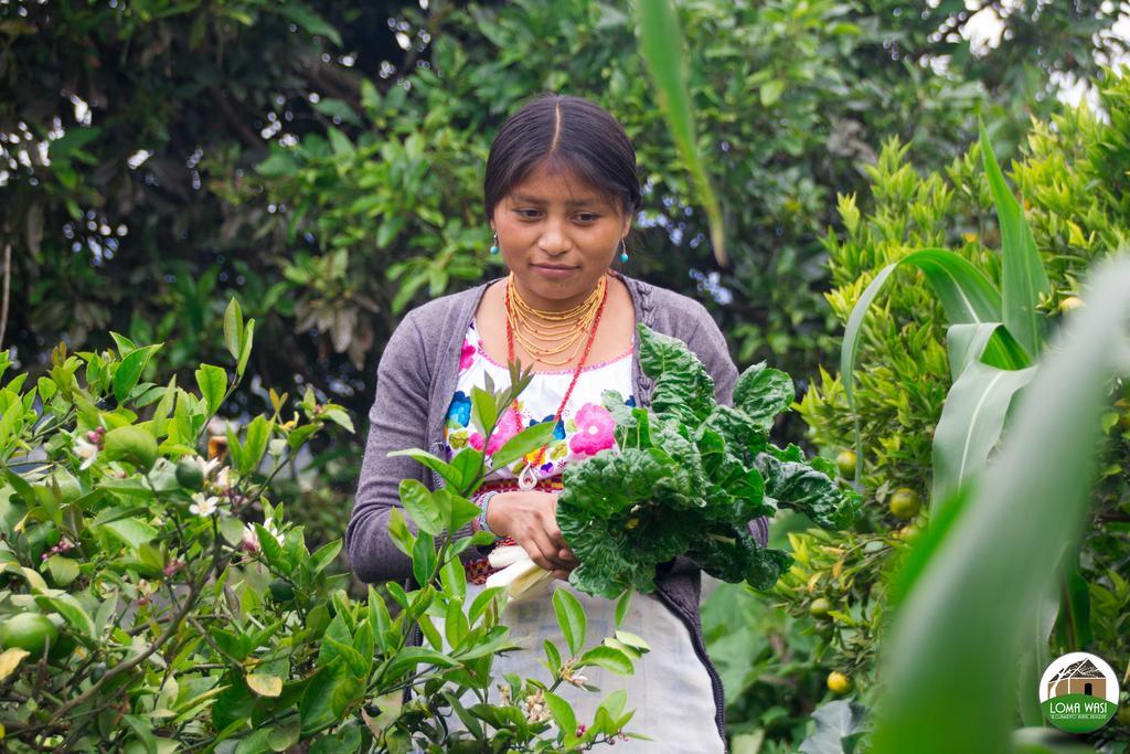 Gasthaus Loma Wasi Alojamiento Rural Indigena En Cotacachi Exterior foto